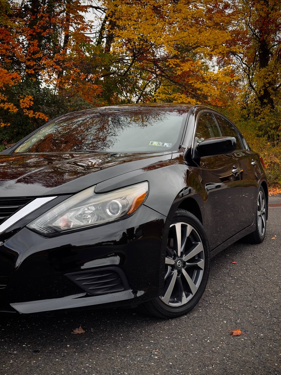 1, 2, and 3-Step Paint Correction: What Is the Difference?